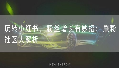玩转小红书，粉丝增长有妙招：刷粉社区大解析
