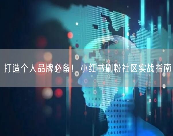 打造个人品牌必备！小红书刷粉社区实战指南