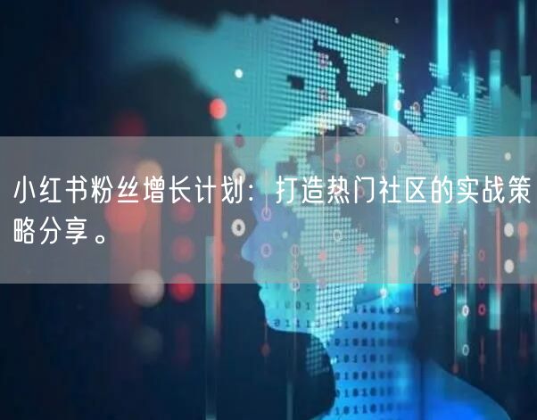小红书粉丝增长计划：打造热门社区的实战策略分享。