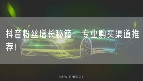 抖音粉丝增长秘籍：专业购买渠道推荐！