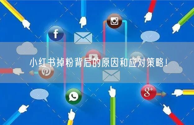 小红书掉粉背后的原因和应对策略！